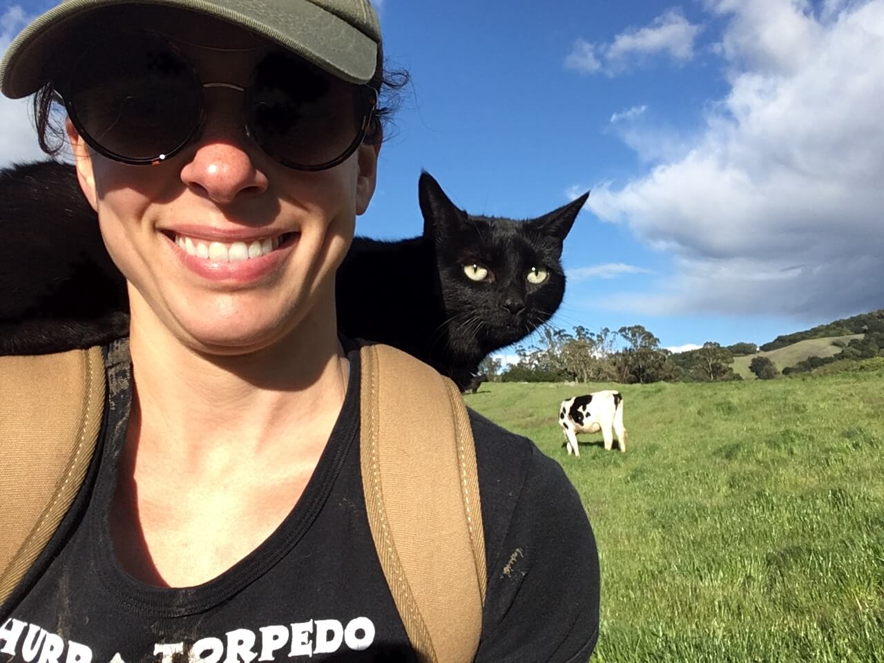 Guide Sarah on an adventure with her kitty cat
